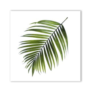 Obraz Styler Canvas Greenery Black Palm, 32x32 cm