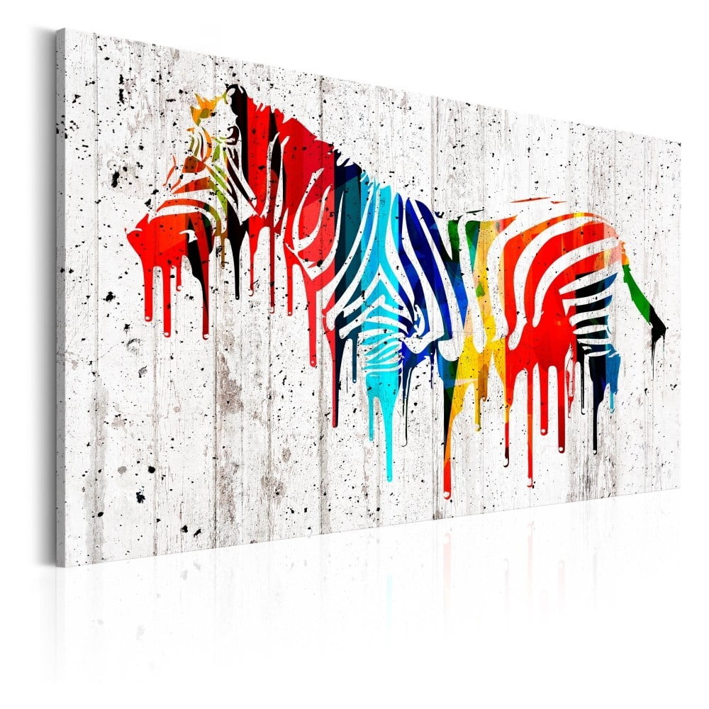 Obraz na płótnie Bimago Colourful Zebra, 60x40 cm