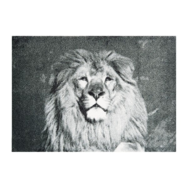 Szara wycieraczka Hans Home StateMat Lion, 50x70 cm