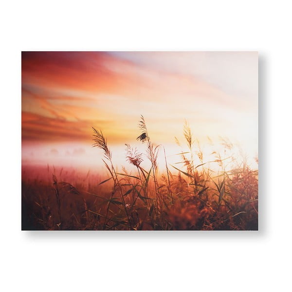 Obraz Graham & Brown Morning Sunrise Meadow, 80x60 cm