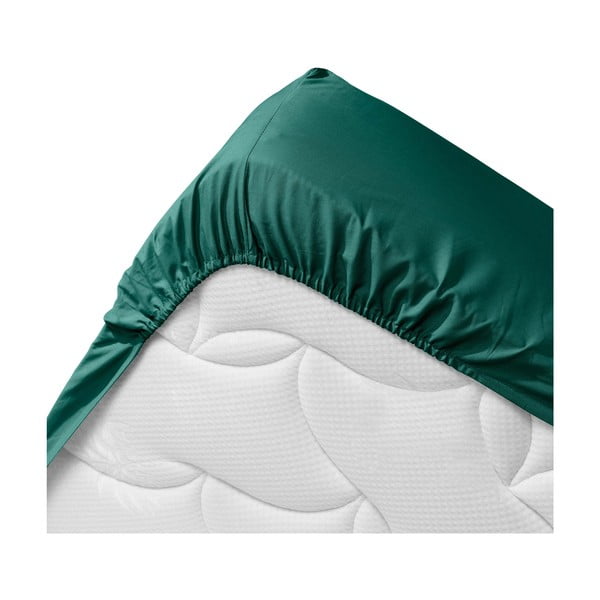 Zielone prześcieradło z bawełny organicznej z gumką 160x200 cm Biolina – douceur d'intérieur-image-3