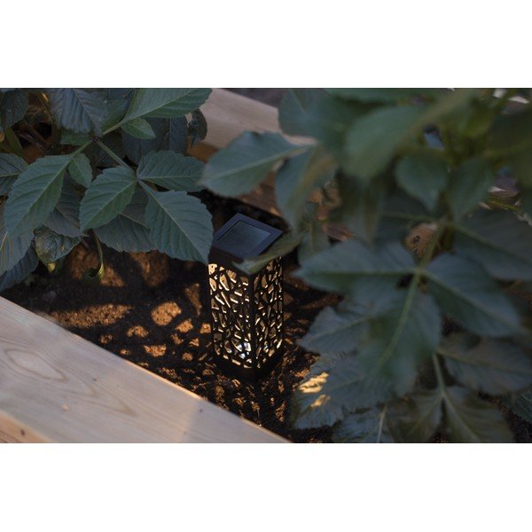 Zestaw 3 wiszących lampionów solarnych LED Star Trading Izola, wys. 11 cm-image-2