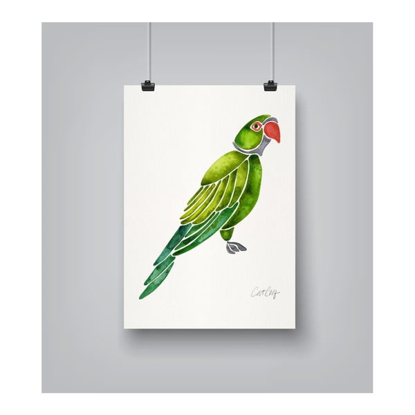 Plakat Americanflat Parrot by Cat Coquillette, 30x42 cm