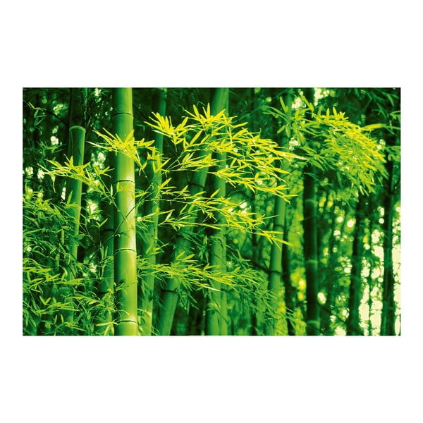 Plakat wielkoformatowy Bamboo In Spring, 175x115 cm
