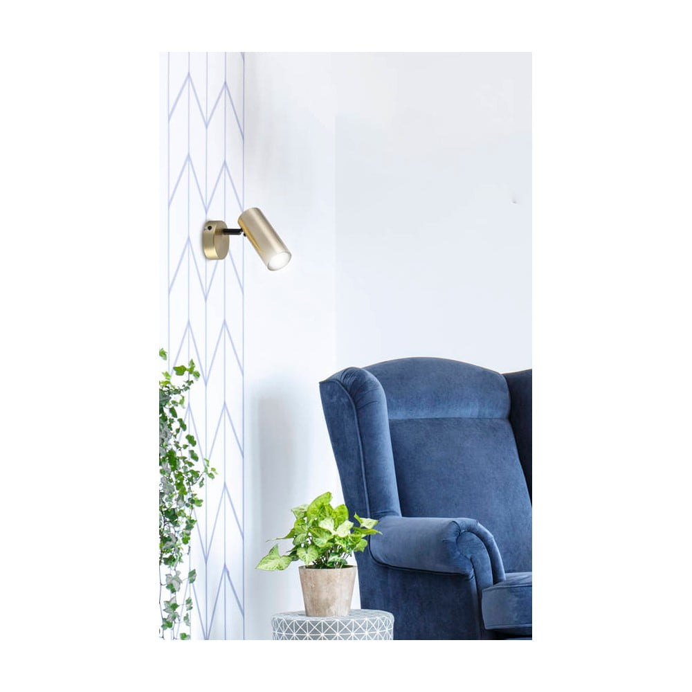 Metalowa lampa punktowa w kolorze złota 8x16 cm Colly – Candellux Lighting (zdjęcie 3)