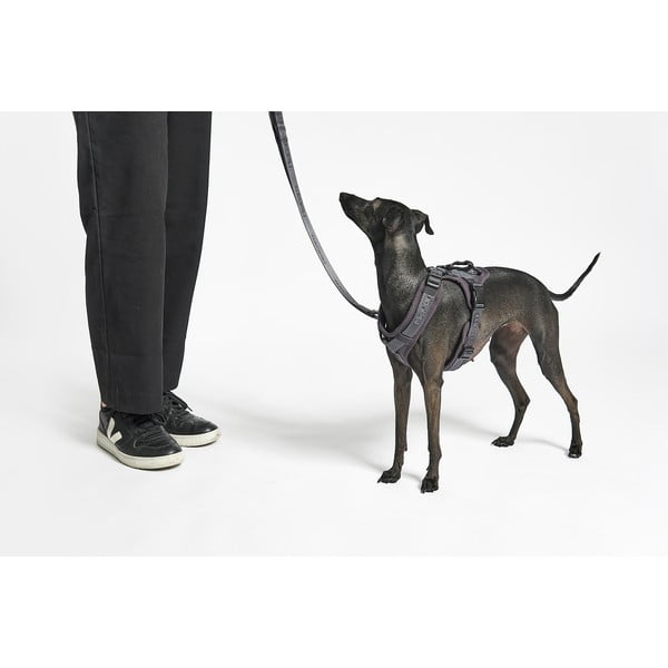 Beżowe szelki dla zwierząt w rozmiarze XS długość 25 cm Modena Greige XS – MiaCara-image-2