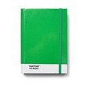 Notes Green 16-6340 – Pantone