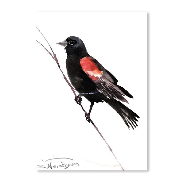 Plakat Red Winged Blackbird od Surena Nersisyana, 60x42 cm