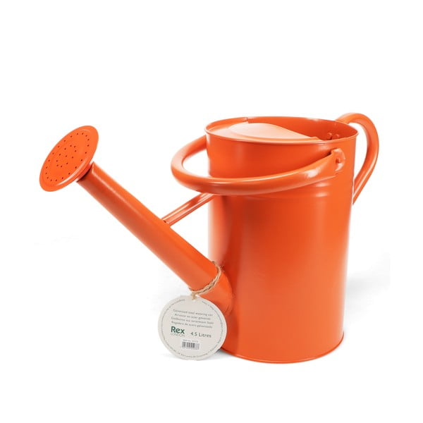 Metalowa konewka 4,5 l – Rex London-image-2