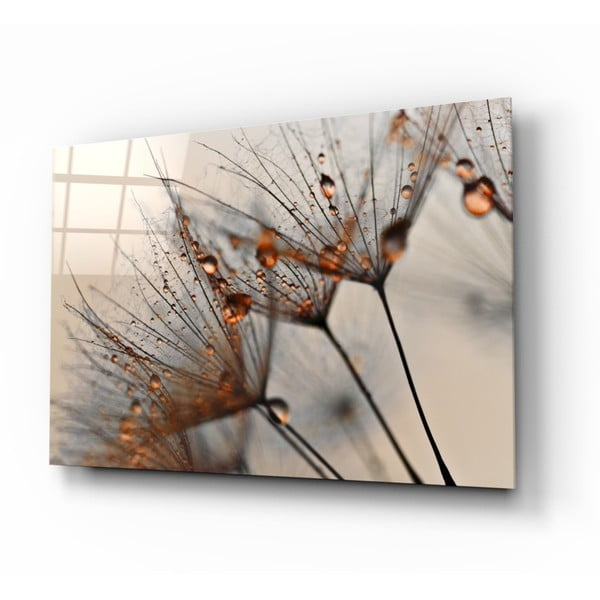 Szklany obraz Insigne Cinnamon Dandelion, 72x46 cm