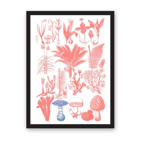 Plakat Ohh Deer Collection Of Flora, 29,7x42 cm
