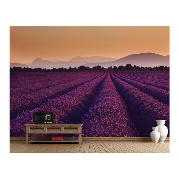 Tapeta
  wielkoformatowa Lavender, 315x232 cm
