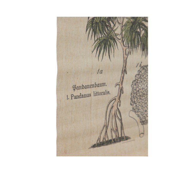 Gobelin 50x70 cm Palm – Ixia-image-1