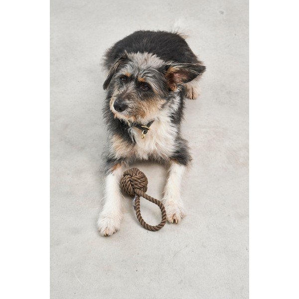 Zabawka dla psa Nodo Chocolate – MiaCara-image-1