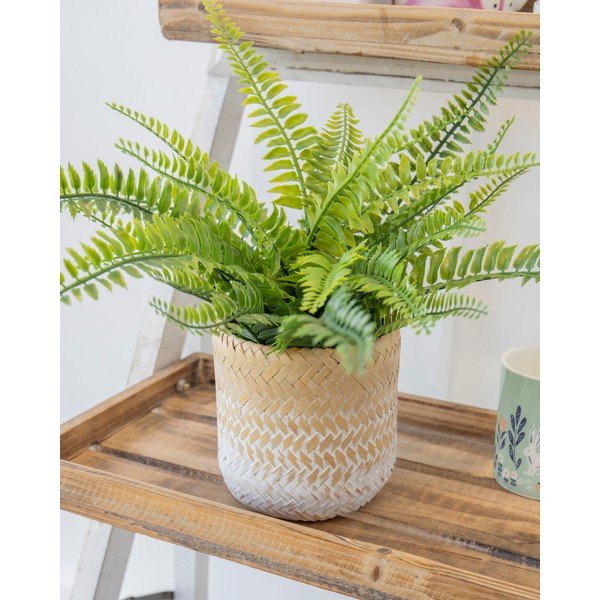 Doniczka z trawy morskiej Kitchen Craft Ombré-image-1