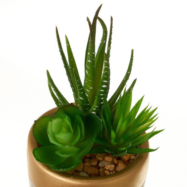 Sztuczne rośliny zestaw 4 szt. (wysokość 17 cm) Cactus – Casa Selección-image-2
