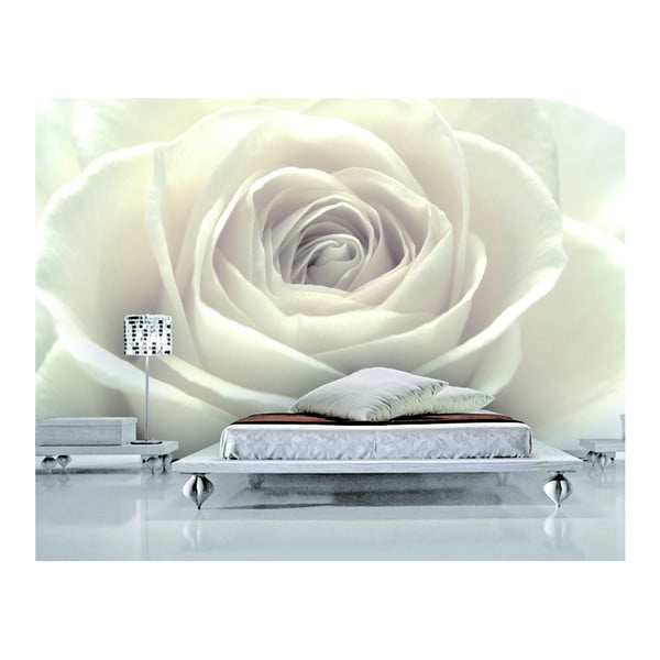 Fototapeta Białe róże, 400x280 cm