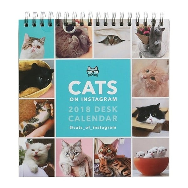 Kalendarz stołowy 2018 Portico Designs Cats On Instagram