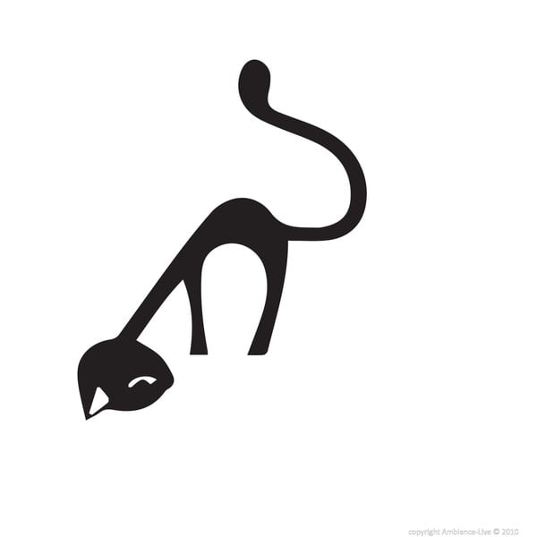 Naklejka Ambiance Funny Cat-image-1