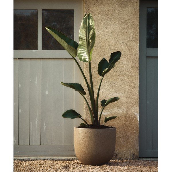 Osłonki na doniczki zestaw 2 szt. z cementu ø 44 cm Selvi – Kave Home-image-1