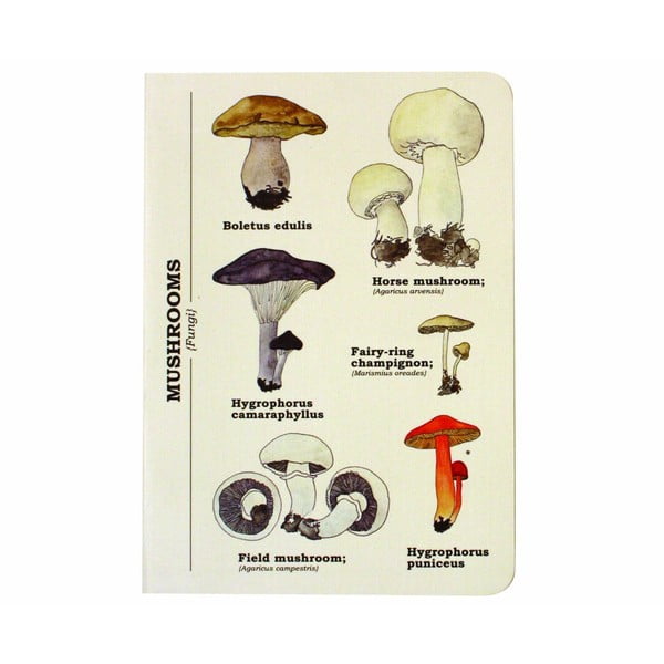 Notes Mushroom