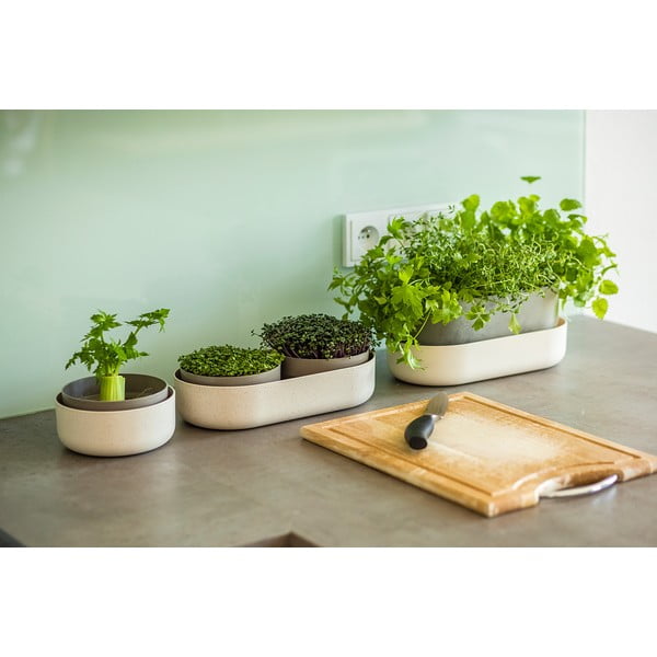 Miska do kiełkowania, ø 16 cm Regrow − Plastia-image-2