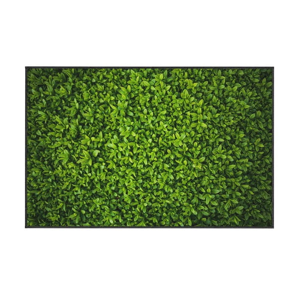 Zielony dywan Oyo home Ivy, 140x220 cm