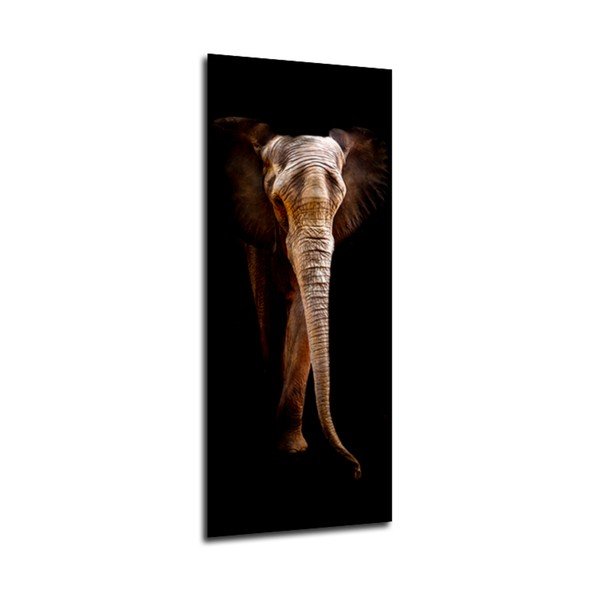 Obraz Styler Elephant, 125x50 cm-image-1