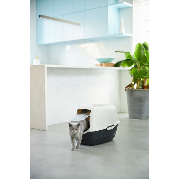 Kuweta dla kota 56x40 cm Eco Bailey – Rotho-image-1