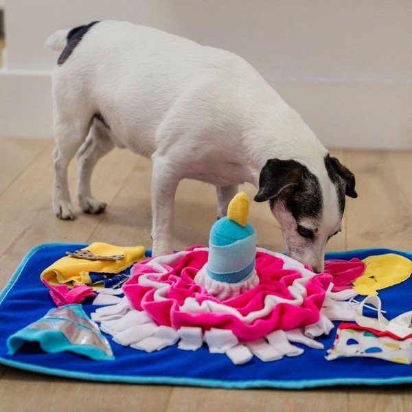 Mata węchowa Pawty – P.L.A.Y.-image-1