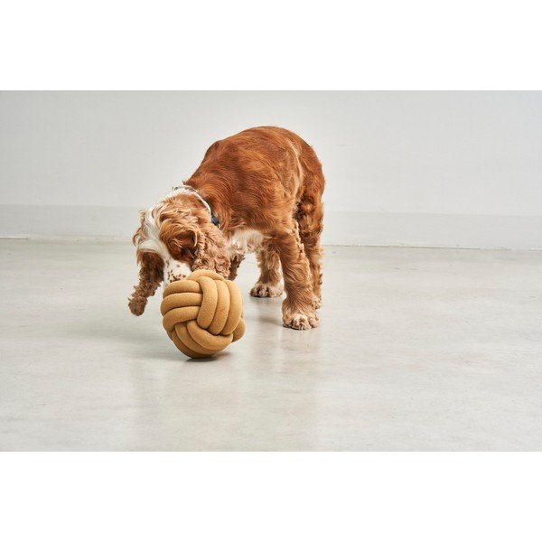 Zabawka dla psa Tubo Curry – MiaCara-image-1