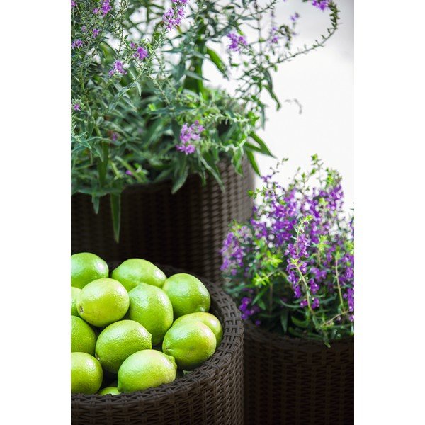 Plastikowe doniczki zestaw 3 szt. ø 43 cm Cylinder – Keter-image-1