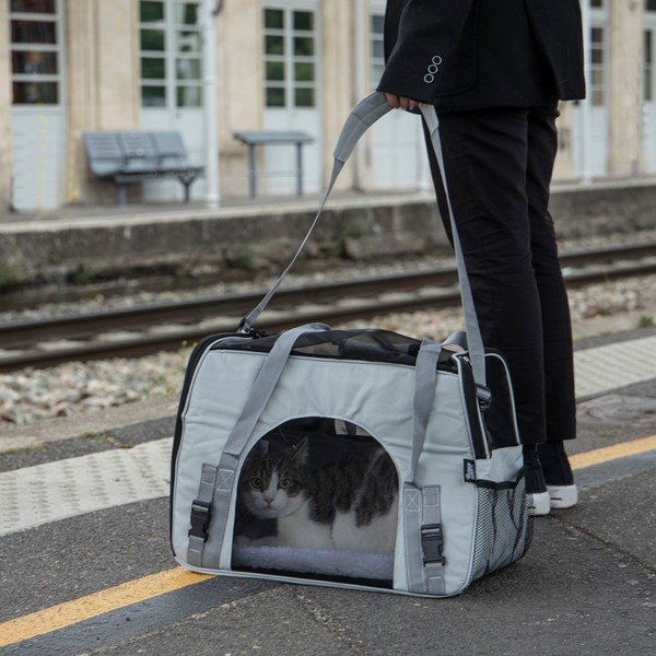 Torba transportowa dla czworonoga 25,5x48 cm – Love Story-image-1