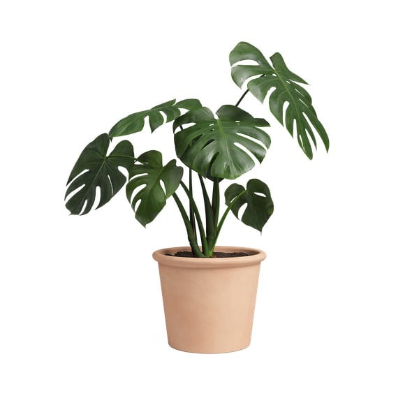 Terakotowa doniczka ø 39 cm Saramago Cilindro – Artevasi-image-1