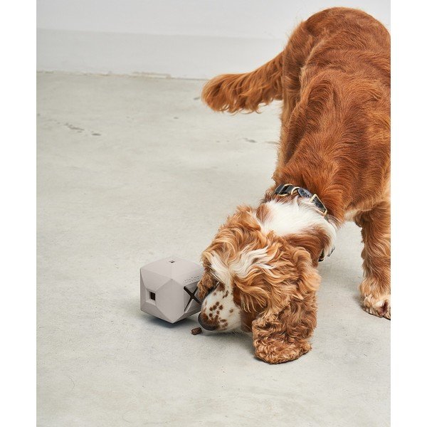 Zabawka dla psa Dado Greige – MiaCara-image-2