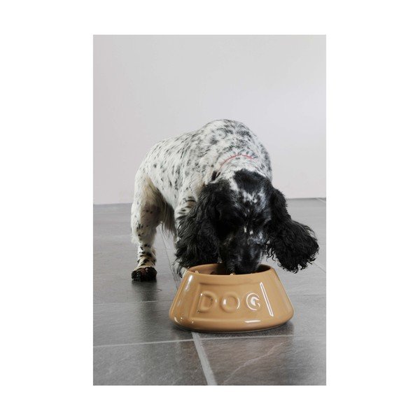 Kamionkowa miska dla psa Mason Cash Pet Cane Dog, ø 21 cm-image-4