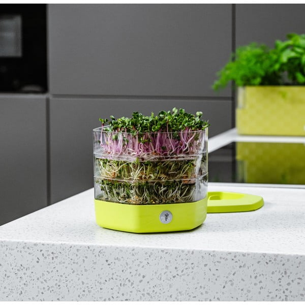 Plastikowa miska do kiełkowania ø 17 cm Mungo – Flower Lover-image-4