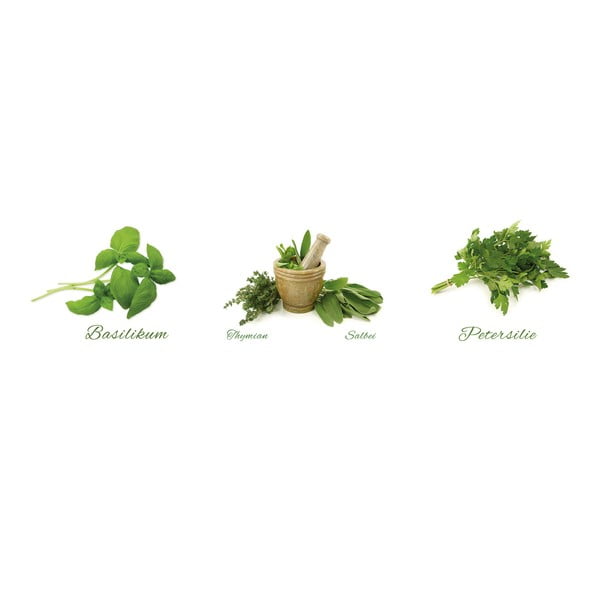 Naklejki Different Herbs