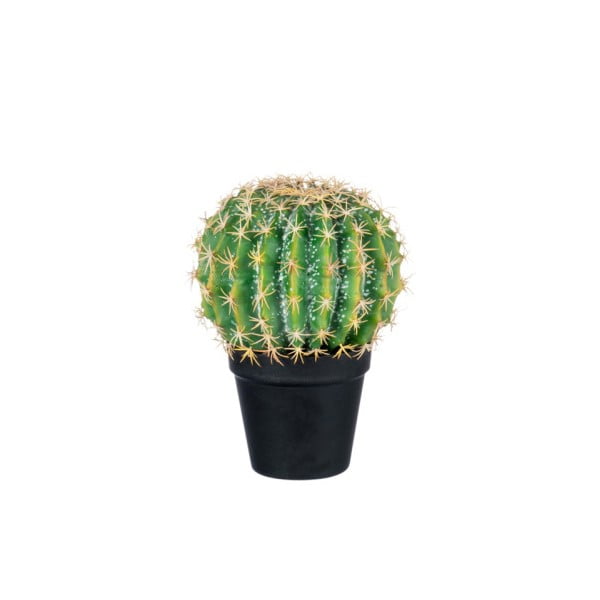 Roślina dekoracyjna J-Line Cactus, wysokość 24 cm