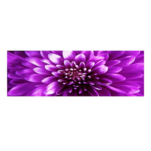 Obraz na szkle Fioletowy kwiat, 30x90 cm
