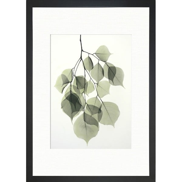 Plakat 24x29 cm Tender Leaves – Tablo Center