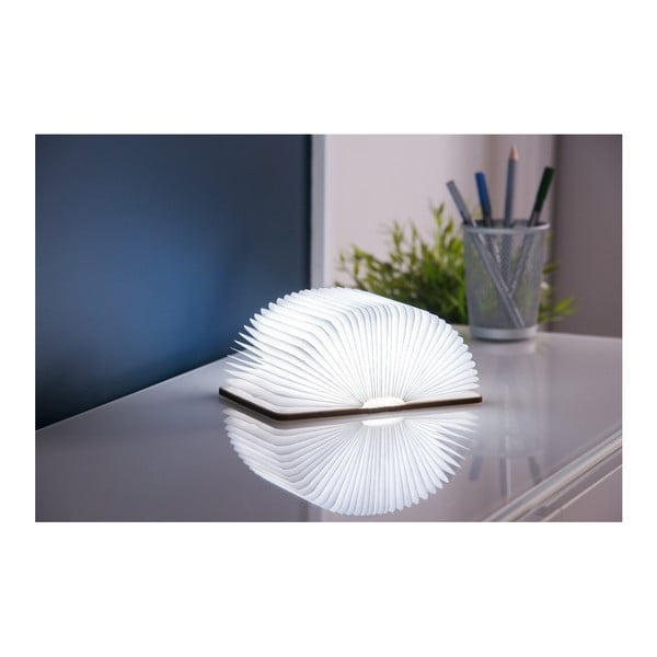 Dekoracja świetlna na USB w naturalnym kolorze Booklight – Gingko-image-1