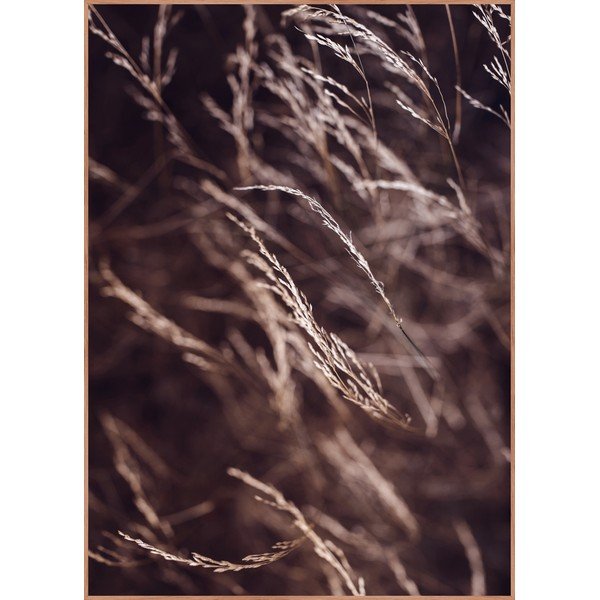 Plakat z ramą w zestawie 50x70 cm Mellow Grasses 7 – Malerifabrikken