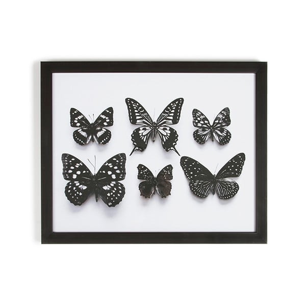 Obraz w ramie Graham & Brown Botanical Butterfly, 50x40 cm