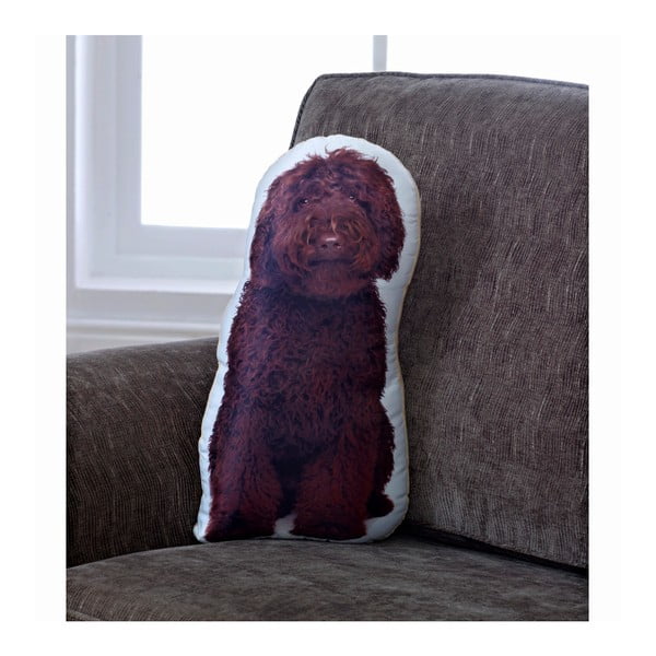 Poduszeczka Adorable Cushions Cockapoo-image-1