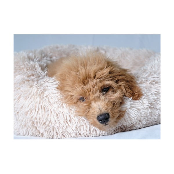 Kremowe legowisko dla psów ø 55 cm – Love Story-image-3