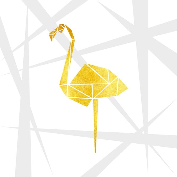 Obraz Canvas Framework Flamingo, 50x50 cm
