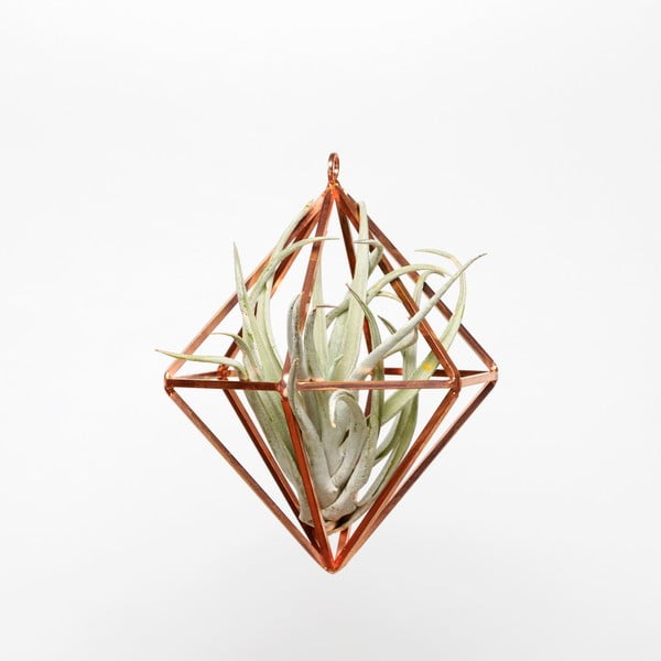 Terrarium wiszące z roślinami Prism, 20 cm