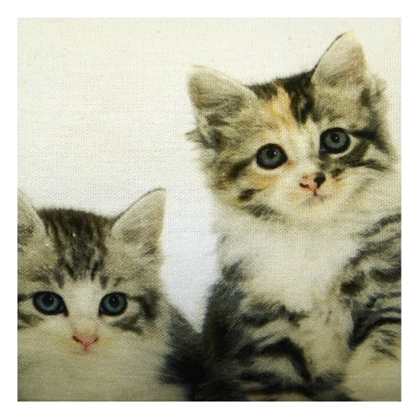 Poduszka Kittens 20x90 cm-image-1