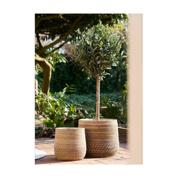 Rattanowe koszyki zestaw 2 szt. ø 39x35 cm Moro – House Nordic-image-1